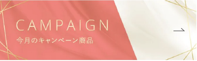 CAMPAIGN 今月のキャンペーン製品