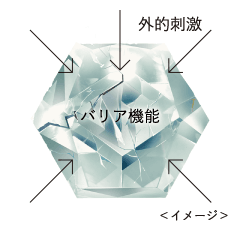 図：バリア機能が外的刺激を受けるイメージ