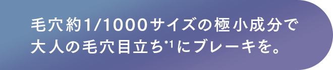 毛穴約1/1000サイズの極小成分で7大年齢悩みにブレーキを。