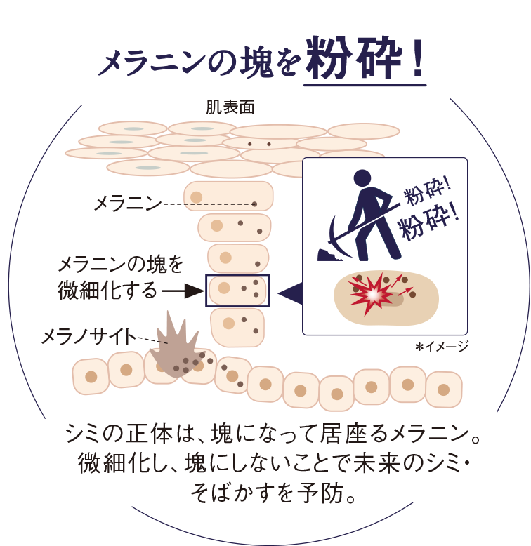 メラニンの塊を粉砕するイメージ図