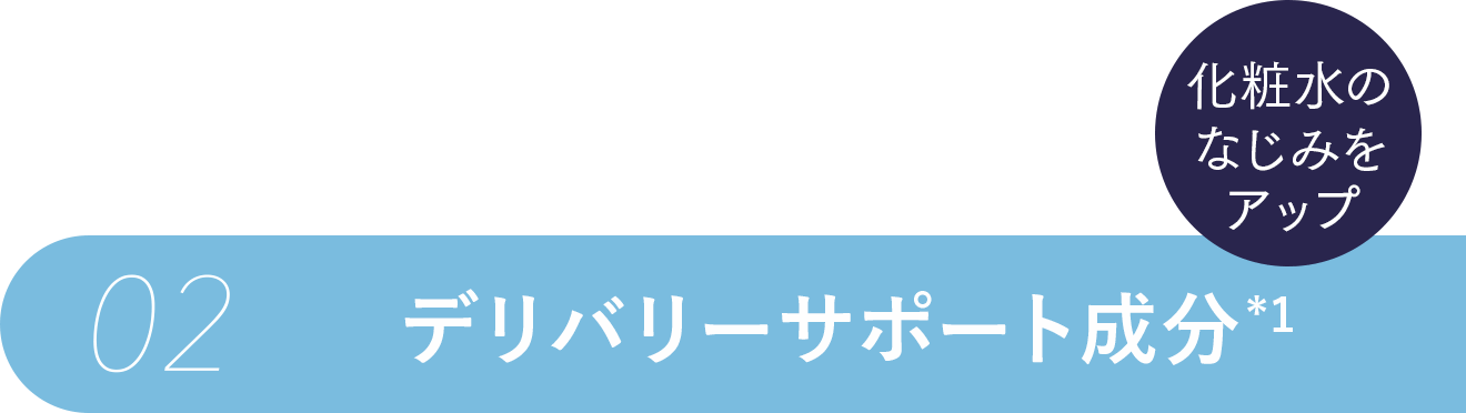 02:デリバリーサポート成分(*1) 化粧水のなじみをアップ