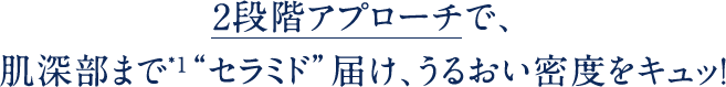 2段階アプローチで、肌深部まで*1“セラミド”届け、うるおい密度をキュッ！