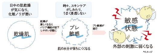 乾燥肌：日中の肌乾燥が気になり、化粧ノリが悪い 乾燥が激しくなるとバリア機能が低下しやすい状態に プレ敏感：時々、スキンケアがしみたり、うまく浸透しない 肌の水分が保ちにくくなる プレ敏感が進行 敏感状態：外部の刺激に弱くなる *イメージ