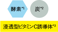酵素*1+炭*2+浸透型ビタミンC誘導体*3