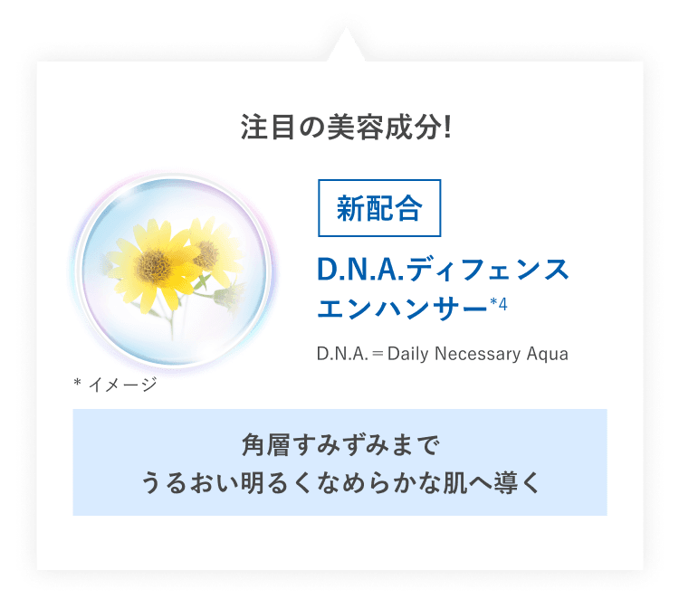 注目の美容成分! 新配合 D.N.A.ディフェンスエンハンサー（*4）D.N.A.＝Daily Necessary Aqua 角層すみずみまでうるおい明るくなめらかな肌へ導く