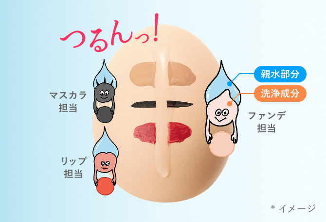 つるんっ！ マスカラ担当・リップ担当・ファンデ担当。親水部分・洗浄成分 *イメージ