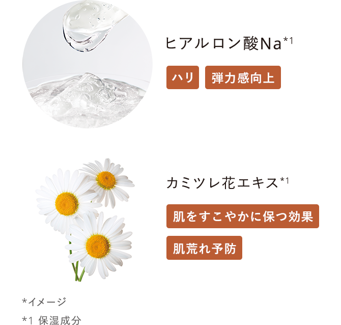 ヒアルロン酸Na*1：ハリ 弾力感向上／カミツレ花エキス*1：肌をすこやかに保つ効果 肌荒れ予防 *イメージ *1 保湿成分