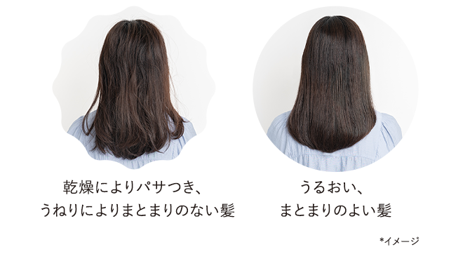 乾燥によりパサつき、うねりによりまとまりのない髪 うるおい、まとまりのよい髪 ＊イメージ
        