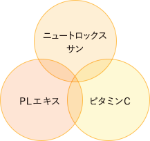 「ニュートロックスサン」「PLエキス」「ビタミンC」組み合わせ