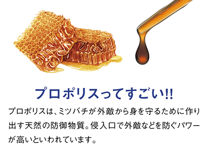 プロポリスってすごい!!プロポリスは、ミツバチが外敵から身を守るために作り出す天然の防御物質。侵入口で外敵などを防ぐパワーが高いといわれています。